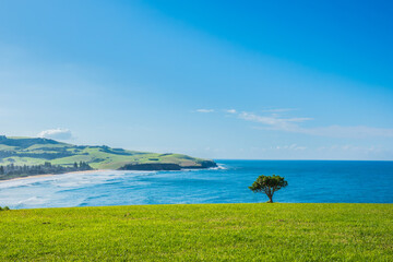 Gerringong  is a town located about ten minutes drive south of Kiama, and about twenty minutes...