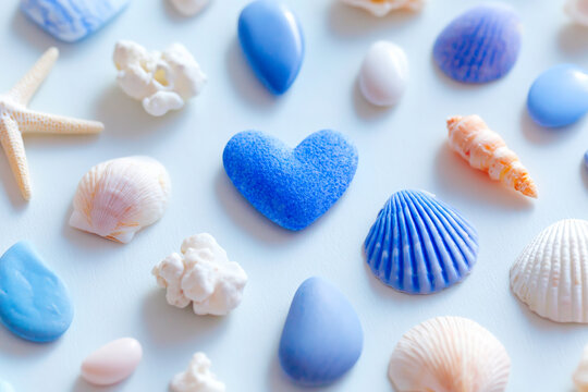 Blue and white seashells arranged in heart shape on white