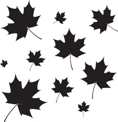Maple Leaf Silhouette SVG &ndash; Canada Day Clipart Design

Rustic Maple Leaf Vector &ndash; Autumn and Fall Decor

Canadian Maple Leaf Cut File for Cricut & Silhouette

Simple Maple Leaf Outline &ndash; Nature Clipar