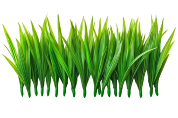 Lush Green Grass: A close-up view captures vibrant green grass blades, forming a dense, textured row, evoking a sense of natural freshness and the beauty of the outdoors.