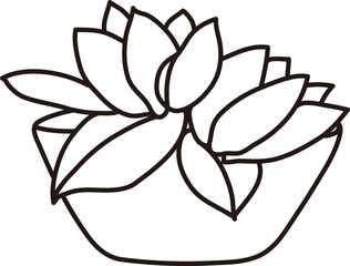 Succulent Potted Plant Doodle

