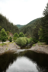 Peaceful view of Kamisna river flowing through a green forest valley in Mokra Gora, Serbia in spring season.
