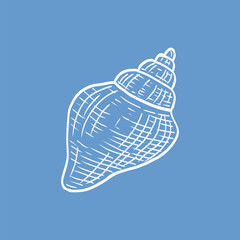 Detailed seashell sketch in white on soft blue background. Great for marine-themed wall art and minimalist seaside posters.