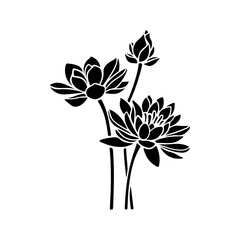 floral design element, Seamless Black and White Floral Pattern – Elegant Vintage Style Botanical Design