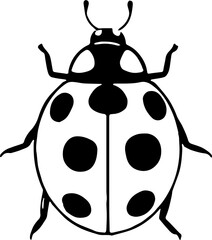 vector illustration of a ladybug