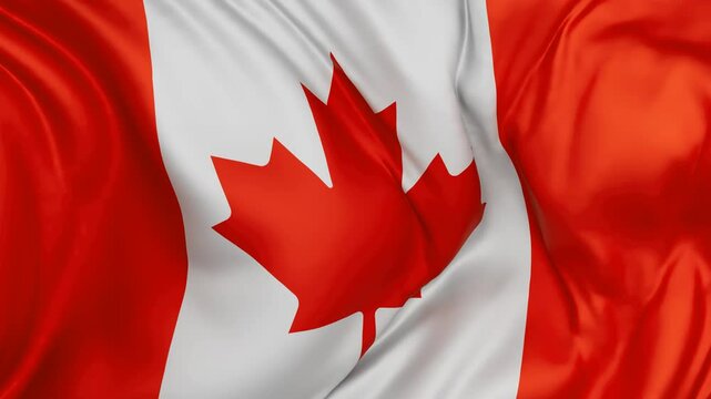 Canada flag swaying in the wind, endless cycled loop video background