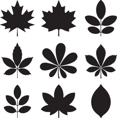 Maple Leaf Silhouette SVG – Canada Day Clipart Design

Rustic Maple Leaf Vector – Autumn and Fall Decor

Canadian Maple Leaf Cut File for Cricut & Silhouette

Simple Maple Leaf Outline – Nature Clipar