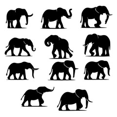 Fototapeta premium set of Elephant silhouette, Elephant silhouette
