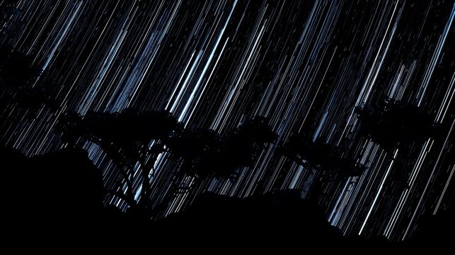 Star trails over silhouette of trees
