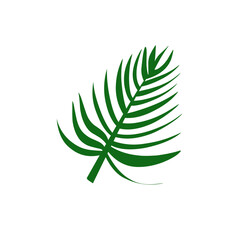 A collection of green tropical leaves in various shapes and sizes, including monstera, palm, and fern leaves, arranged in a seamless pattern on a white background.