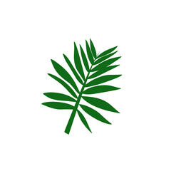 A collection of green tropical leaves in various shapes and sizes, including monstera, palm, and fern leaves, arranged in a seamless pattern on a white background.