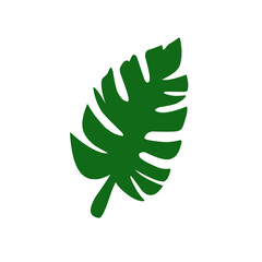 A collection of green tropical leaves in various shapes and sizes, including monstera, palm, and fern leaves, arranged in a seamless pattern on a white background.