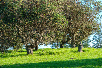 Gerringong  is a town located about ten minutes drive south of Kiama, and about twenty minutes...