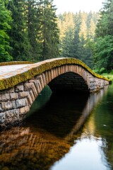 Fototapeta premium Nature Bridge Over Stream