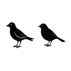 bird silhouette bundle 