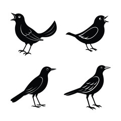 bird silhouette bundle 