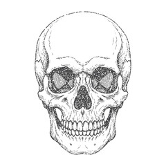 Stipple skull with gritty photocopy halftone texture and grunge aesthetics. Perfect for punk and gothic collage projects. Vector illustration