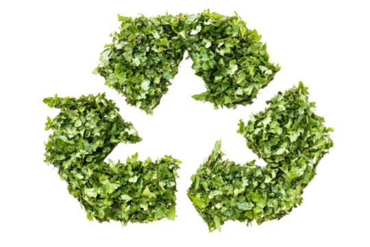 Green Recycle Symbol: An eco-friendly recycling symbol formed entirely of fresh green leaves, symbolizing environmental awareness and sustainable practices.