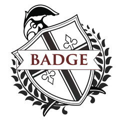 american football emblem