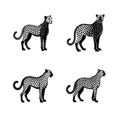 set of cheetah vector illustration