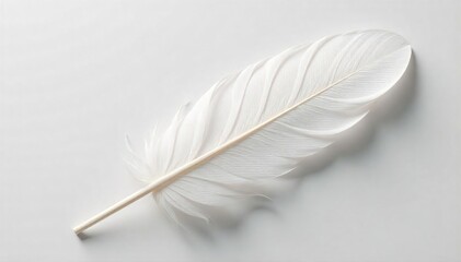 Close-up of a single, pristine white feather, soft texture and delicate details visible against a neutral background Perfect for purity, lightness, and ethereal themes , texture, background