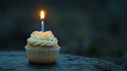 Birthday Cupcake with Copy Space