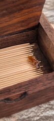 Cockroach in a toothpick box. Cleanliness concept.