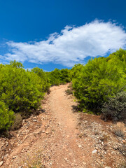 Naklejka premium Rugged Hiking Trail Surrounded by Lush Greenery Under a Clear Blue Sky, Greece, Loutraki