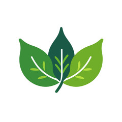 Naklejka premium Green-leaves-icon-nature-organic-eco-symbol-illustration