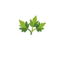 Fototapeta premium parsley-herb-icon-vector-illustration-fresh-green-plant-graphic