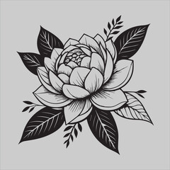 Fototapeta premium Monochrome Peony Elegance