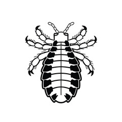  Louse Line Art – Parasite Insect Vector Drawing