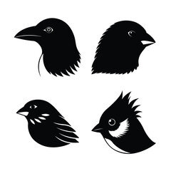bird head silhouette bundle 