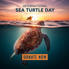 International Sea Turtle Society