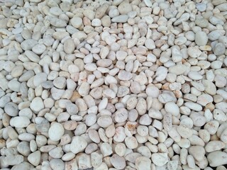 Closeup of White River Stones Used for Garden Decoration or Background