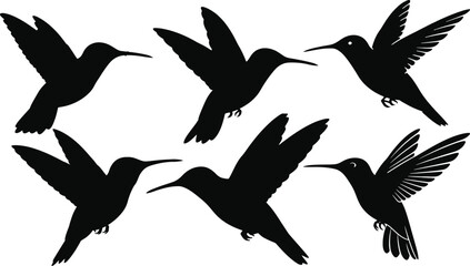 Obraz premium Hummingbird Silhouettes Collection - Flying Bird Vector Set,Dynamic Hummingbird Silhouettes - Fast Flying Birds Vector Art 