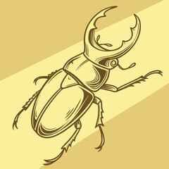 crab on white background