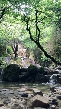 Cascada de r&iacute;o en el bosque. Selva de Irati. Cascada del cubo