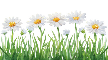 Beautiful White Daisies in a Lush Green Grass Field on a Bright Day