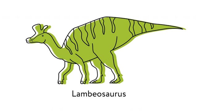 Animated black and white line drawing of a Lambeosaurus, a herbivorous dinosaur from the Late Cretaceous period. Then the dinosaur gets filled in with green color. 4K, alpha channel.