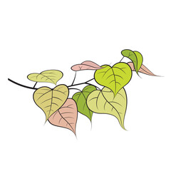 tree branch with leaves isolated on white vector art