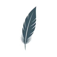 Fototapeta premium Single dark gray feather simple design element