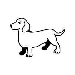 cute dachshund dog vector illustration