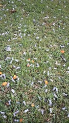 Bullets used in target shooting ranges