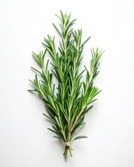 Fototapeta premium Fresh Rosemary Sprigs Aromatic Herb for Cooking and Culinary Uses