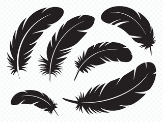 Obraz premium Black feather silhouettes collection for quill and bird designs Vector