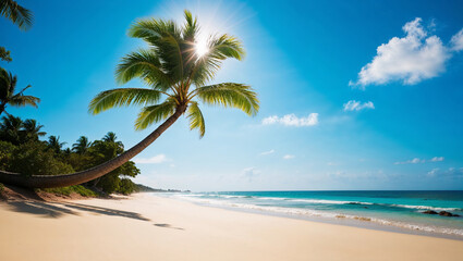 Obraz premium Idyllic palm-lined coast under a bright, clear blue sky