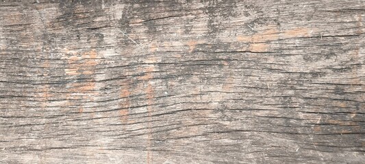 Fototapeta premium Old wood texture for background. Natural old wood texture.