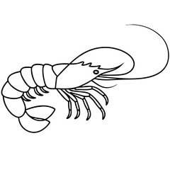 Fototapeta premium Detailed lobster illustration, underwater creature with segmented body and powerful claws. This exquisite crustacean drawing showcases intricate details perfect for seafood restaurant menus,