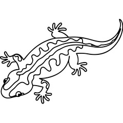 Naklejka premium Salamander illustration line art. Detailed drawing of salamander, amphibian reptile, shows intricate details of its body. This salamander image is perfect for educational materials,